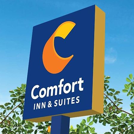 Comfort Inn & Suites Newark Liberty International Airport Luaran gambar